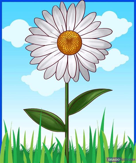 Gambar bunga yang cantik dan indah di dunia. 98 Gambar Bunga Animasi Simple Terbaru | Cikimm.com