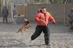 Image result for chasing a dog funny