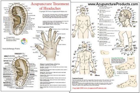 Acupuncture Treatment Of Headaches Chart Clinical Charts And Supplies