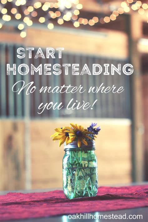 Start Homesteading Now No Matter Where You Live Oak Hill Homestead