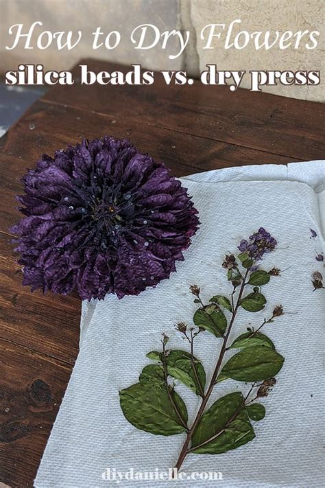 There are several ways to dry plants and flowers to preserve them for dried flower arrangements and other presentations. How to Dry Flowers with Silica Gel - DIY Danielle®