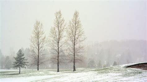 Late Winter Early Spring Landscape In Bromont Stock Photo Image Of