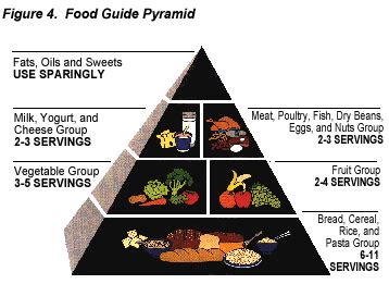 What food groups does the body use for energy? Bright Futures at Georgetown University