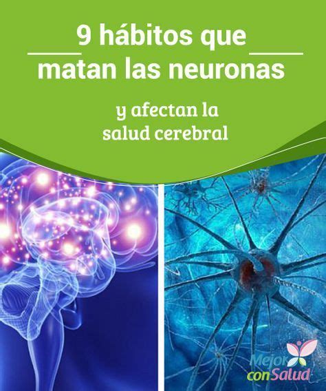 9 Hábitos Que Matan Las Neuronas Y Afectan La Salud Cerebral Neuronas