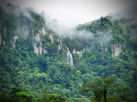 Image Result For Nicaragua Rainforest Ometepe Nicaragua Travel