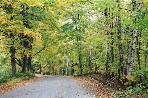 11 Best Country Roads In The Fall In Vermont That Are Pure Bliss