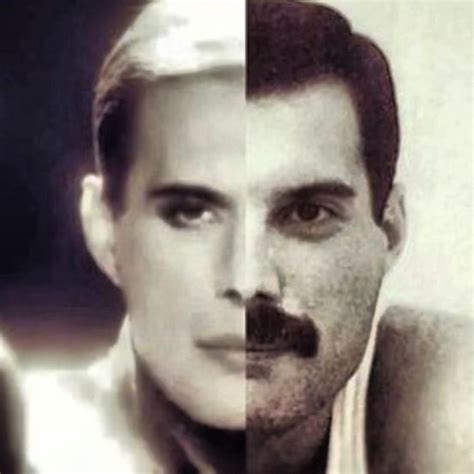 Freddie Mercury In Two Stages So Much Was Taken From Our Freddie Those