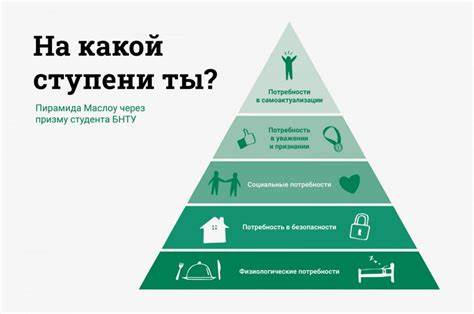 Диета по пирамиде Пирамида Маслоу через призму студента БНТУ – Белорусский национальный Пирамида Маслоу через призму студента БНТУ – Белорусский национальный Диета по пирамиде