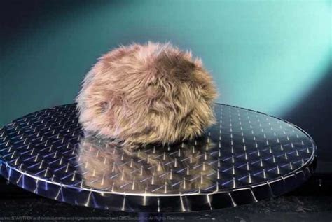 There Are No Troubles With These Amazing Tribbles Trek Report