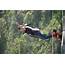 Bungee Jumping In Goa  Best Bungy Jump Experience Triprajacom