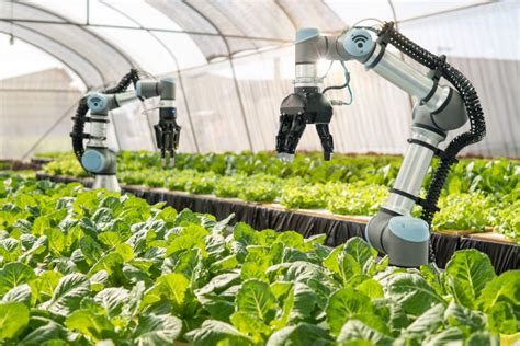 How Robots Are Lending A Hand In Shaping The Future Of Farming