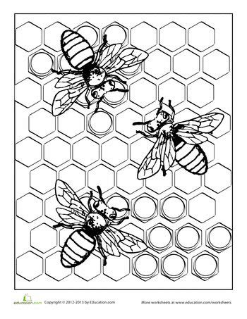 Honeycomb Coloring Page at GetDrawings | Free download