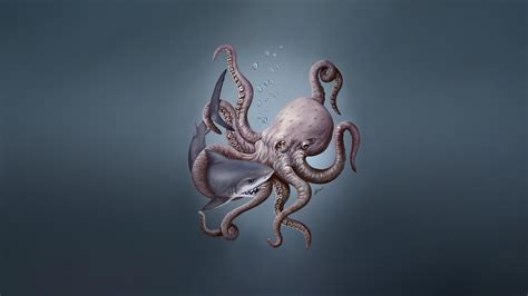 Octopus Desktop Wallpapers Top Free Octopus Desktop Backgrounds