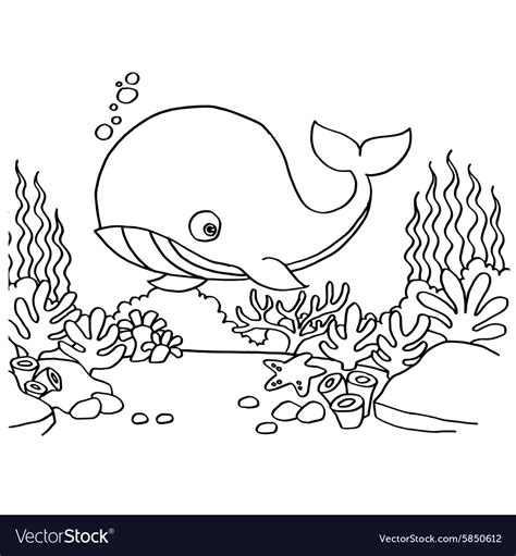 ️whale Coloring Pages Free Download