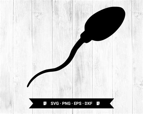 Sperm Svghuman Sperm Cell Svg Png Eps Dxf Cricut Digital Etsy