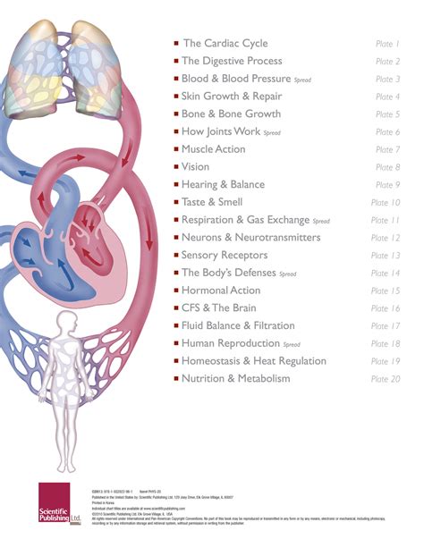 The Illustrated Atlas Of Human Physiology Scientific Publishing
