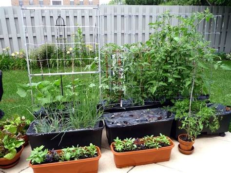 These 5 Self Watering Planters Make Vegetable Gardening