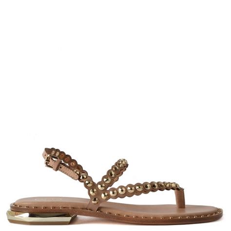 Womens Ash Sandals From Ash Footwear