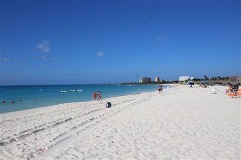 Eagle Beach Palm Eagle Beach Aruba Top Tips Before You Go With
