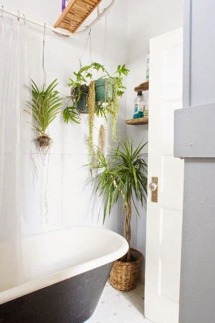 Plantas Para El Cuarto De Baño Trendy Bathroom Modern Bathroom Small