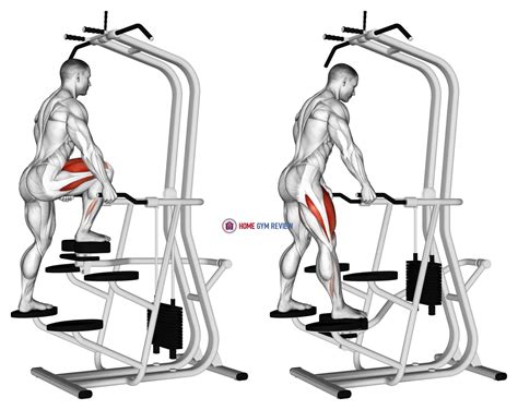 Assisted Single Leg Press Home Gym Review