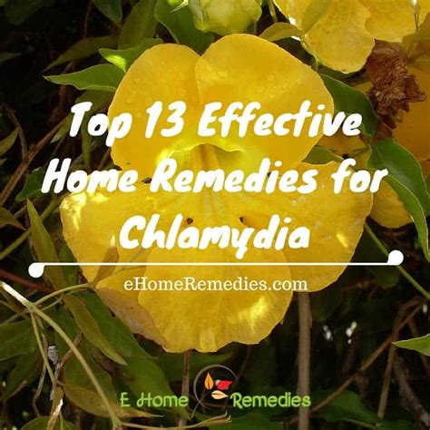 Top 13 Effective Home Remedies For Chlamydia