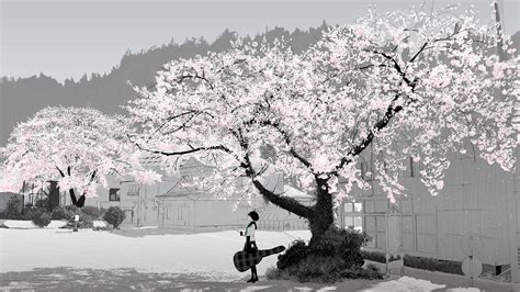 Wallpaper Anime Girls Snow Winter Branch Frost Cherry Blossom