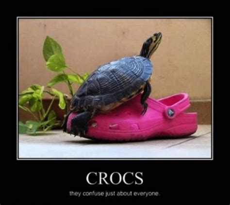 Crocs Memes 30 Pics