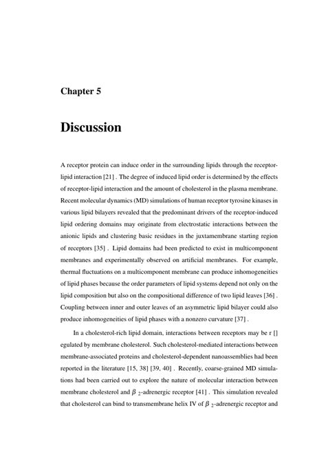 Thesis Discussion Chapter Example Thesis Discussion Chapter Template