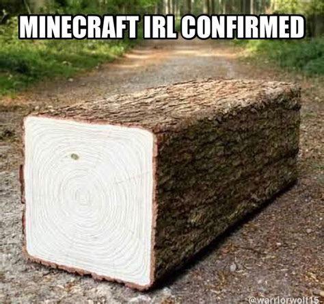 Minecraft Irl Confirmed Minecraft Comics Minecraft Minecraft Funny