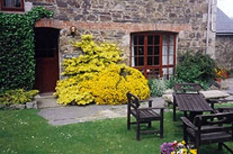 The leading cornwall holiday cottages website. Homeleigh Farm Holiday Cottages | Cornwall Guide