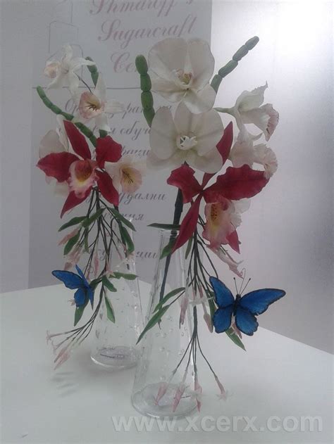Two Vases Filled With Flowers And Butterflies On Top Of A White