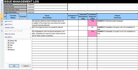Project Issue Log Template 45 Useful Risk Register Templates Word