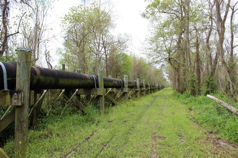Louisiana Bill Would End Eminent Domain For Carbon Capture Pipelines