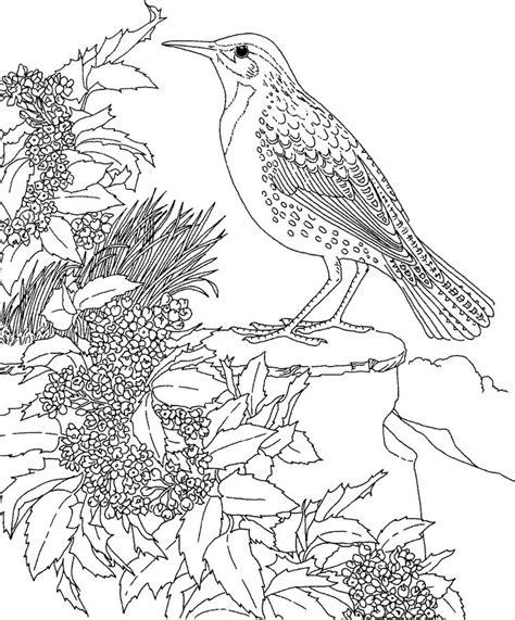 Oregon Trail Coloring Page at GetColorings.com | Free printable