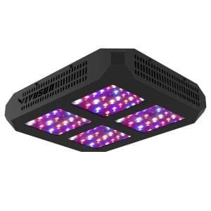 Although named the 300w, this light draws approx 136w from. Vivosun 600w LED Grow Light Review - GrowYour420