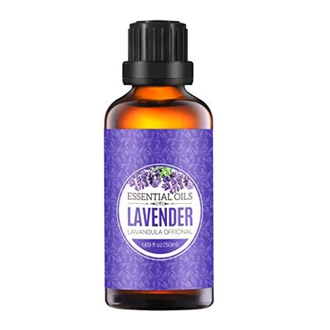 Top 10 Lavender Oils Of 2021 Best Reviews Guide