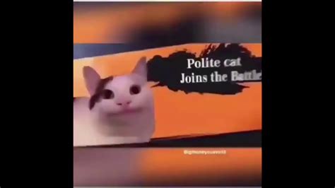 Polite Cat Meme 1080x1080