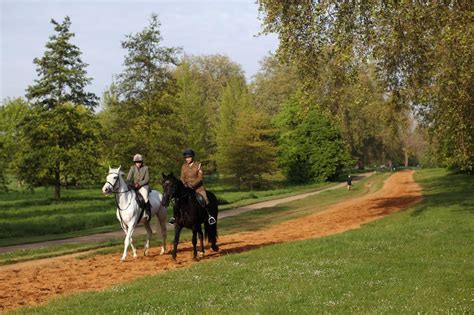 5 Of The Best Places To Go Horse Riding In London London Evening