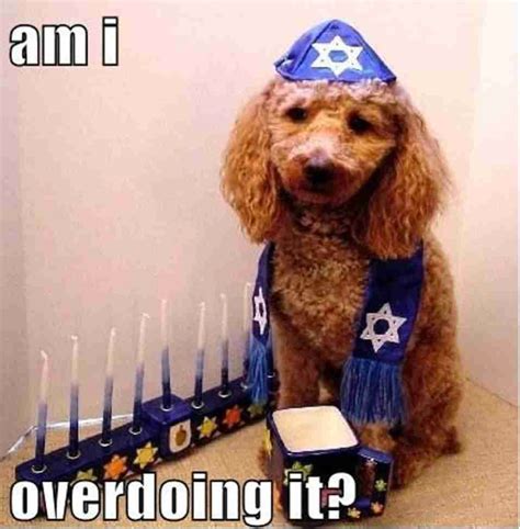 Collection Of The Best Happy Hanukkah Memes 2020 Guide For Moms