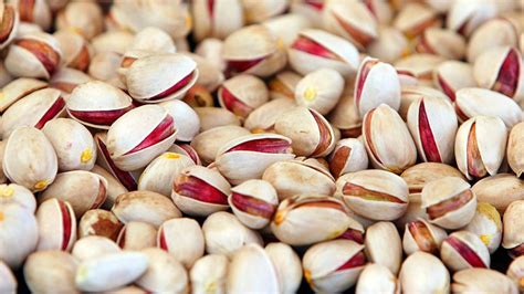 Fakta Unik Kacang Pistachio Kaya Nutrisi Dan Menyehatkan Health