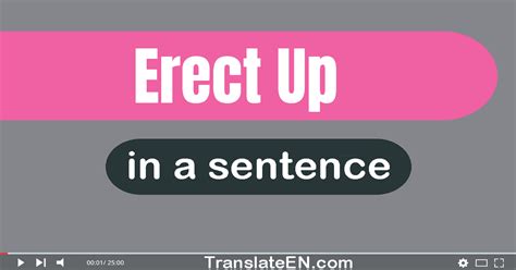 Use Erect Up In A Sentence