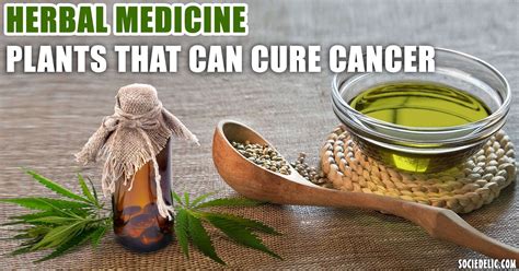 Herbal Medicine Plants That Can Cure Cancer