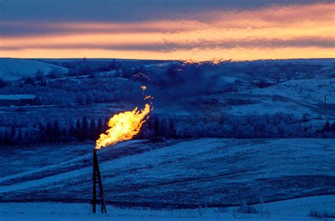 Oil Gas US Natgas Futures Hold Near One Week High On Colder Forecasts Oil Gas