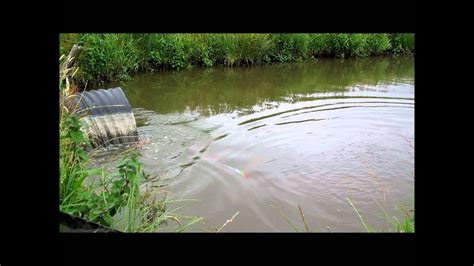 Search For Carp 2011 Team Nootdorp 1 Hd Youtube
