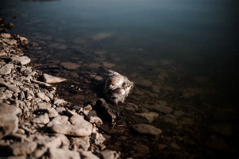 Ohio River Pollution Documentary On Behance