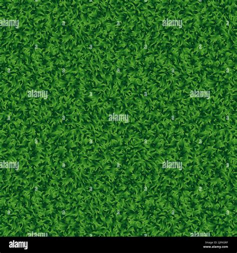 Seamless Grass Grass Texture Plane Perpendicular Green Grass Seamless