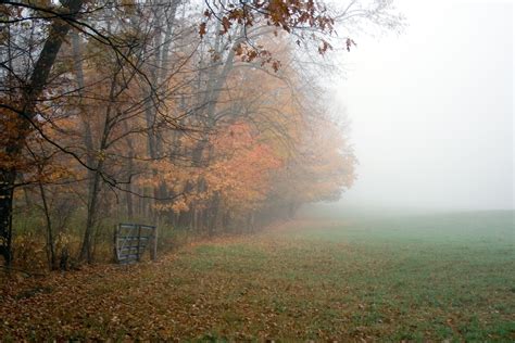 Foggy Fall Morning Country Roads Foggy Autumn Morning