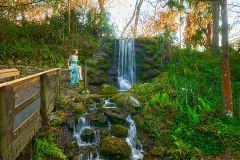Tips For Rainbow Springs State Park A Florida Oasis Florida Trippers