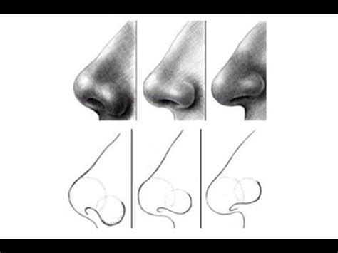 Learn how to draw nose simply by following the steps outlined in our video lessons. how to draw nose for beginners 2 - YouTube